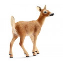 Biche de Virginie - Schleich