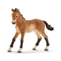 Poulain Tennessee Walker - Schleich 13804