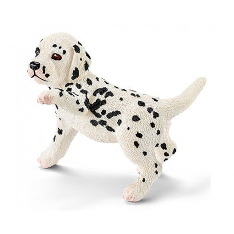 Chiot Dalmatien