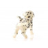 Chiot Dalmatien