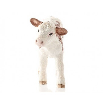 Veau Simmental français