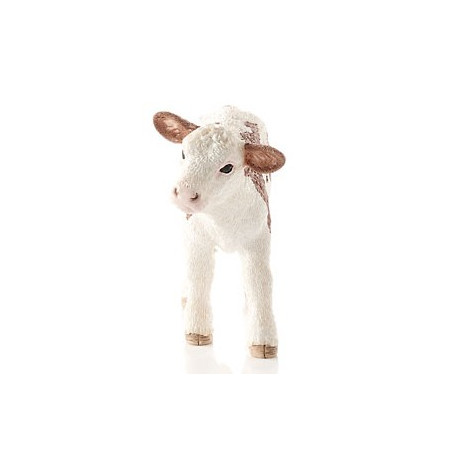 Veau Simmental français