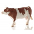 Vache Simmental française