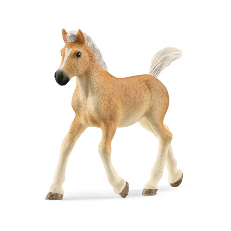 Poulain Haflinger - Schleich 13951