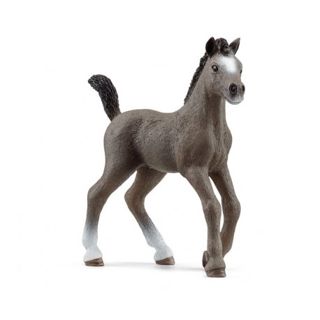 Poulain Selle Français - Schleich 13957