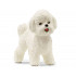 Chien Bichon frisé - Schleich 13963