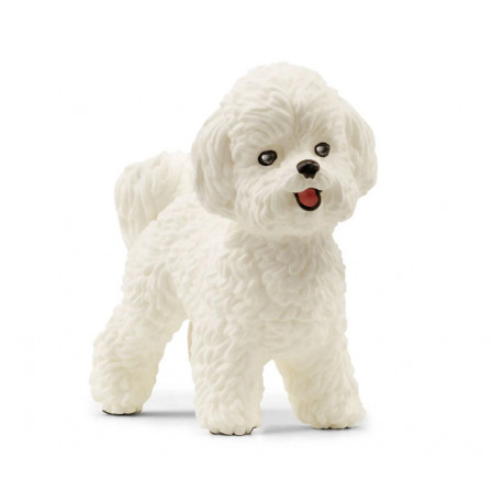 Chien Bichon frisé - Schleich 13963