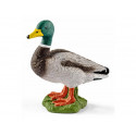 Canard - Schleich 13824