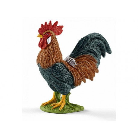 Coq