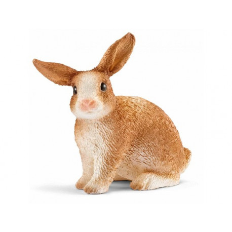 Lapin