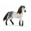 Etalon Andalou - Schleich