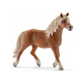 Etalon Haflinger