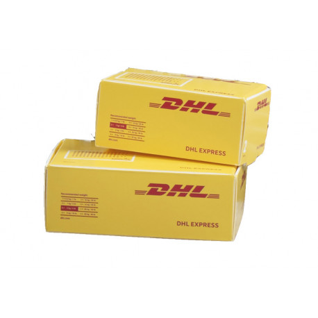 4 colis DHL Bruder 1/16