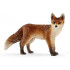 Renard