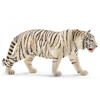 Tigre blanc mâle