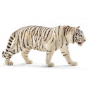 Tigre blanc mâle