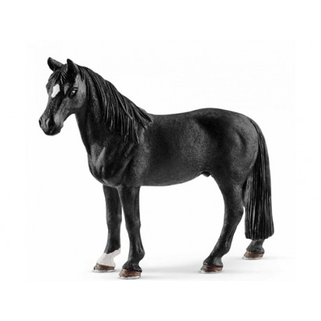 Hongre Tennessee Walker