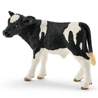 Veau Holstein