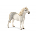 Poney Gallois mâle - Schleich 13871