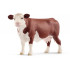 Vache Hereford