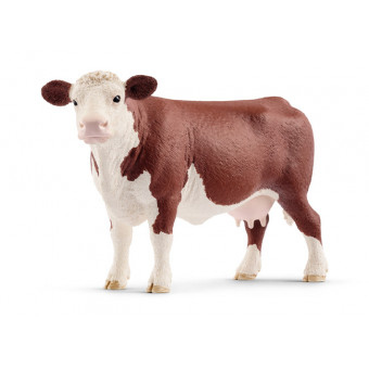 Vache Hereford