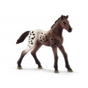 Poulain Appaloosa - Schleich