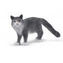 Chat Maine Coon - Schleich 13893