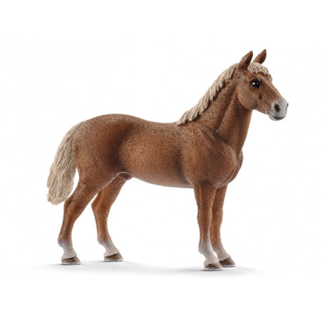 Etalon Morgan - Schleich