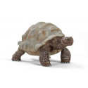 Tortue géante - Schleich 14824