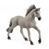 Poney de selle Allemand Hongre - Schleich