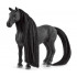 Jument Criollo, Sofia's Beauties - Schleich 42581