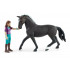 Horse Club Lisa & Storm - Schleich 42541