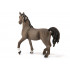 Etalon Arabe - Schleich