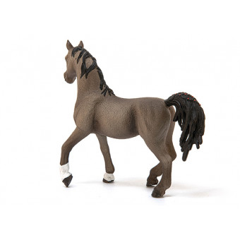 Etalon Arabe - Schleich