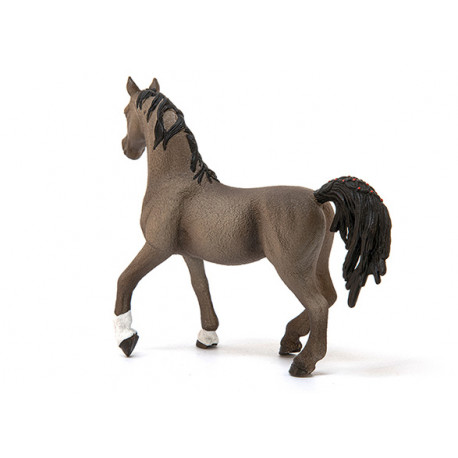 Etalon Arabe - Schleich
