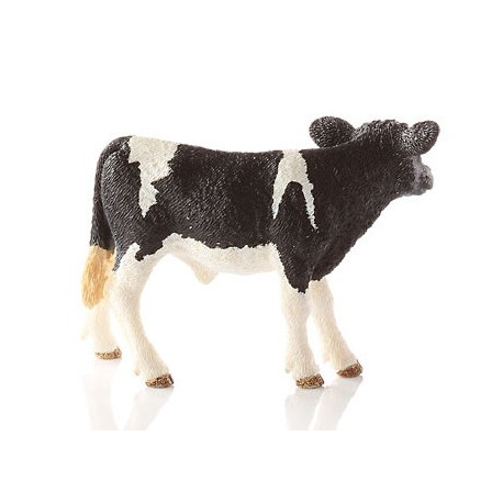 Veau Holstein