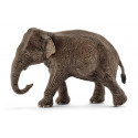 Eléphant d'Asie femelle - Schleich 14753