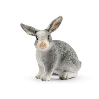 Clapier Schleich