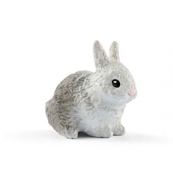 Clapier Schleich