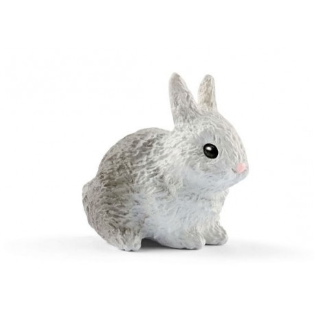 Clapier Schleich