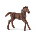 Poulain Pur-sang anglais - Schleich 13857