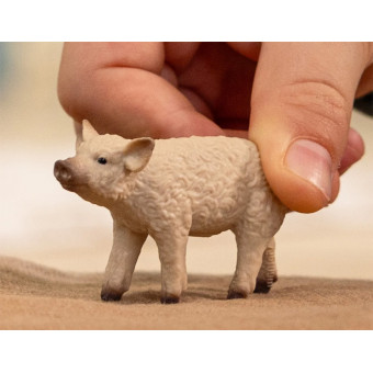 Porcelet Mangalica - Schleich 14893