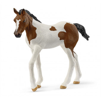 Poulain Paint Horse - Schleich 14899