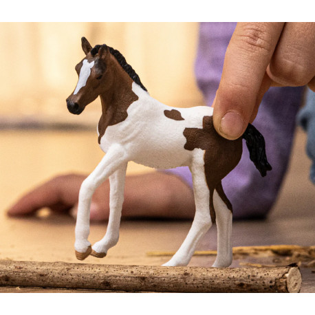 Poulain Paint Horse - Schleich 14899