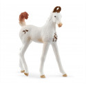 Poulain Marwari - Schleich 14896