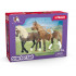 Mes Premiers chevaux Paso Péruvien Horse Club - Schleich 42738