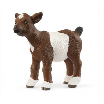 Chevreau