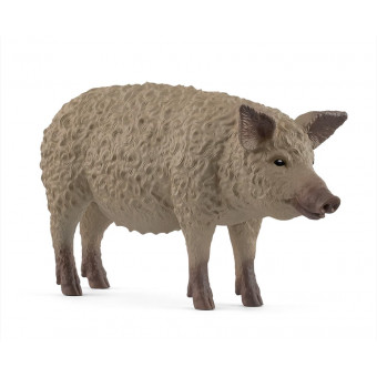 Cochon Mangalica