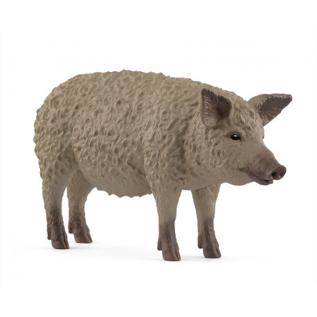 Cochon Mangalica