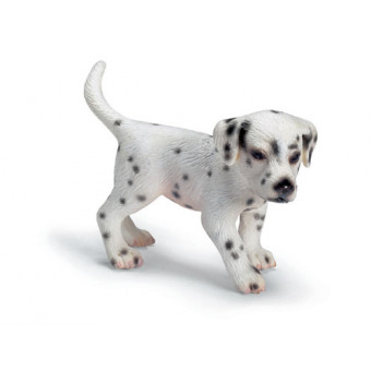 Chiot-Dalmatien